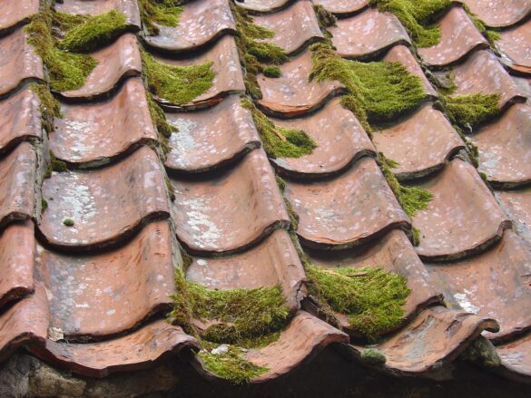 How to Prepare Your Home For a New Roof Installation