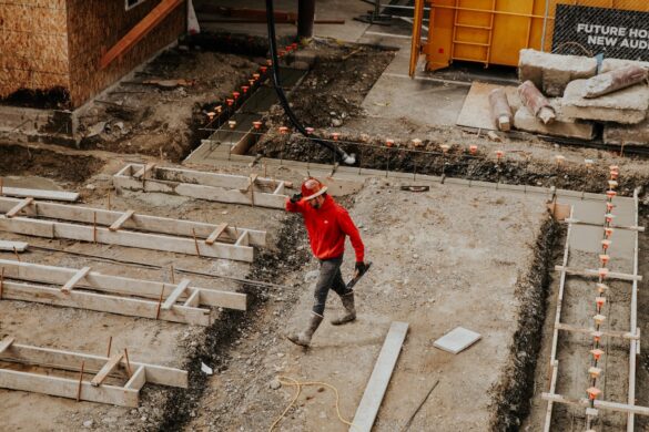 7 Questions to Ask Your Landscape Contractor