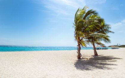 Top 5 Destinations to Plan Your Next Holiday Vacation!