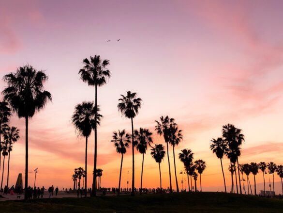 13 Awesome Reasons for Moving to California