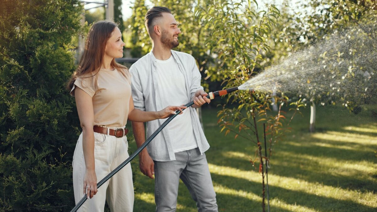 3 Types of Lawn Care Services To Give Your Lawn a Brand New Look