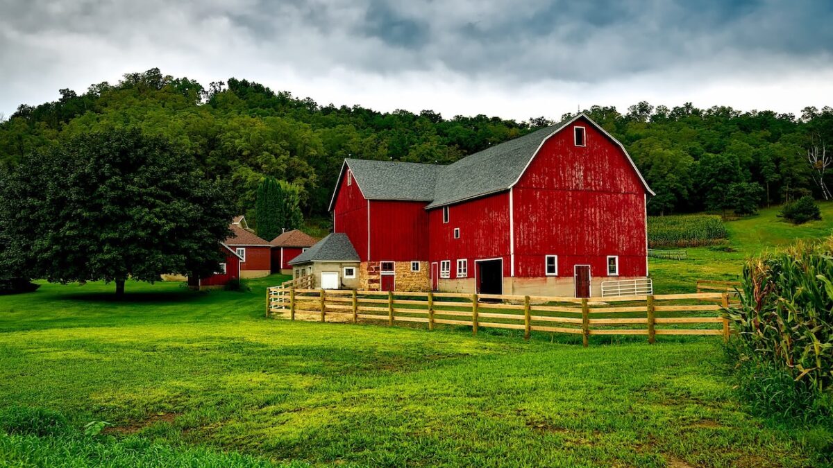 Top Benefits of Hiring a Professional Barn Builder for Restoration