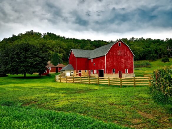 Top Benefits of Hiring a Professional Barn Builder for Restoration