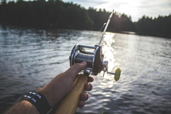 Maximize Your Catch- How Saltwater Fishing Reels Enhance Performance