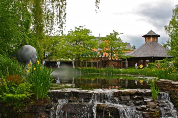 Global Zen: Exploring Meditation's Multicultural Tapestry