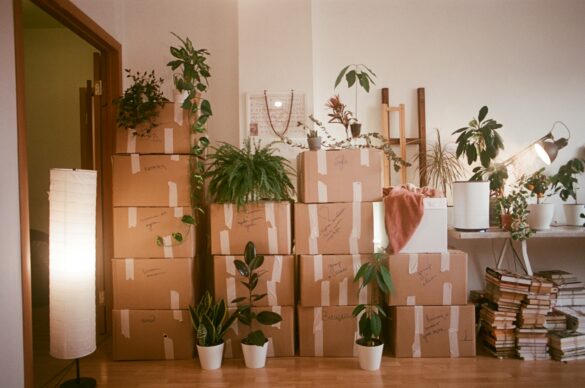 Stress-Free Moving: Tips for a Smooth Transition